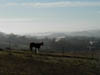 Horse Canyon